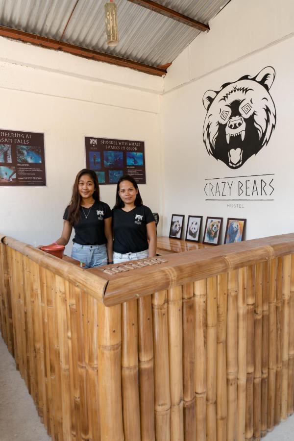 Crazy Bears Hostel Моалбоал Экстерьер фото