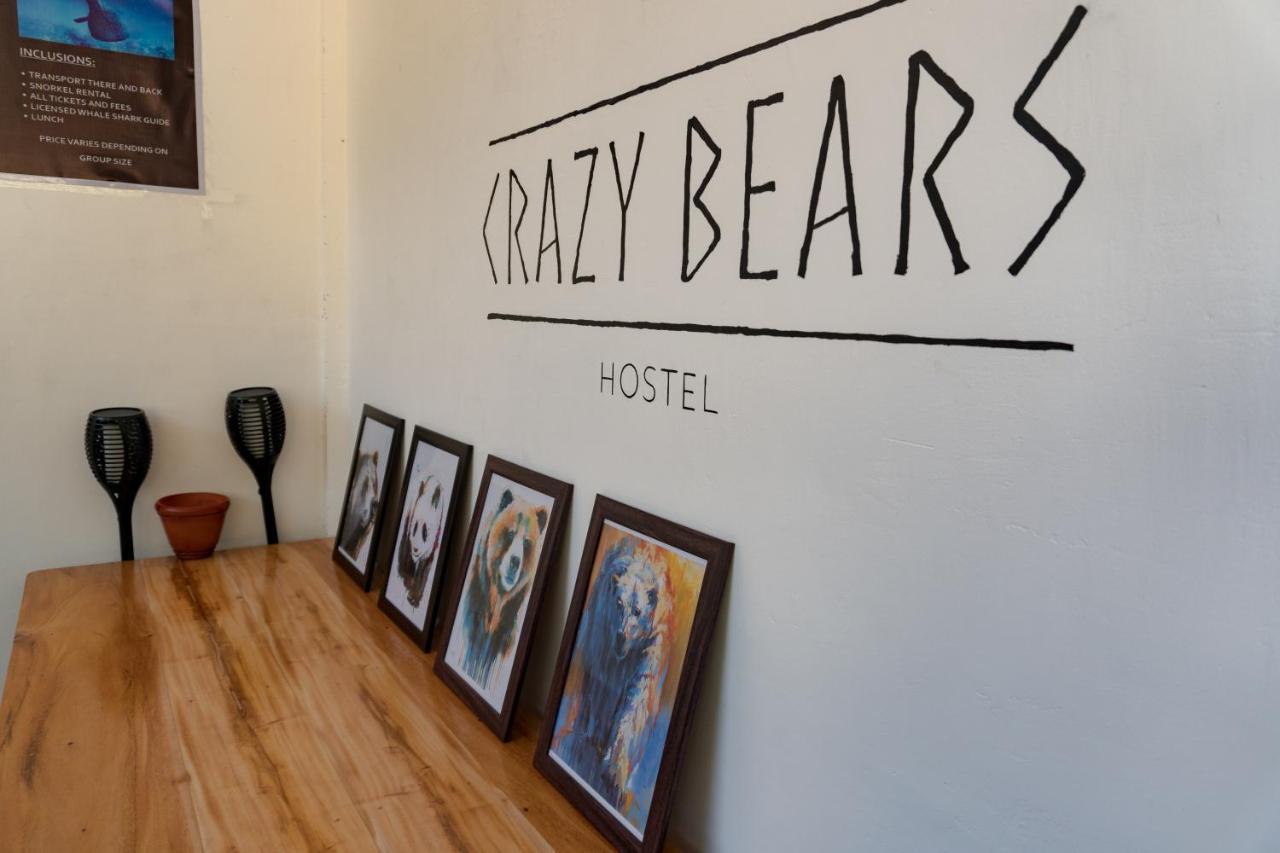 Crazy Bears Hostel Моалбоал Экстерьер фото